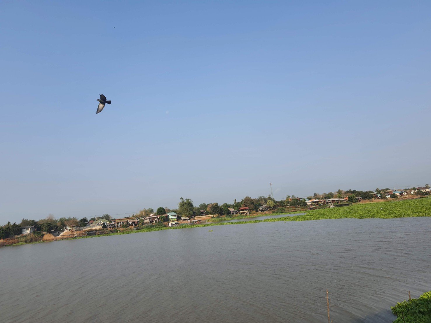 ภูมิศาสตร์ชัยนาท